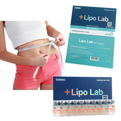 Inyecciones lipolíticas de la solución del Ppc del laboratorio de Lipo del cuello 10ML para disolver el suero gordo del vientre